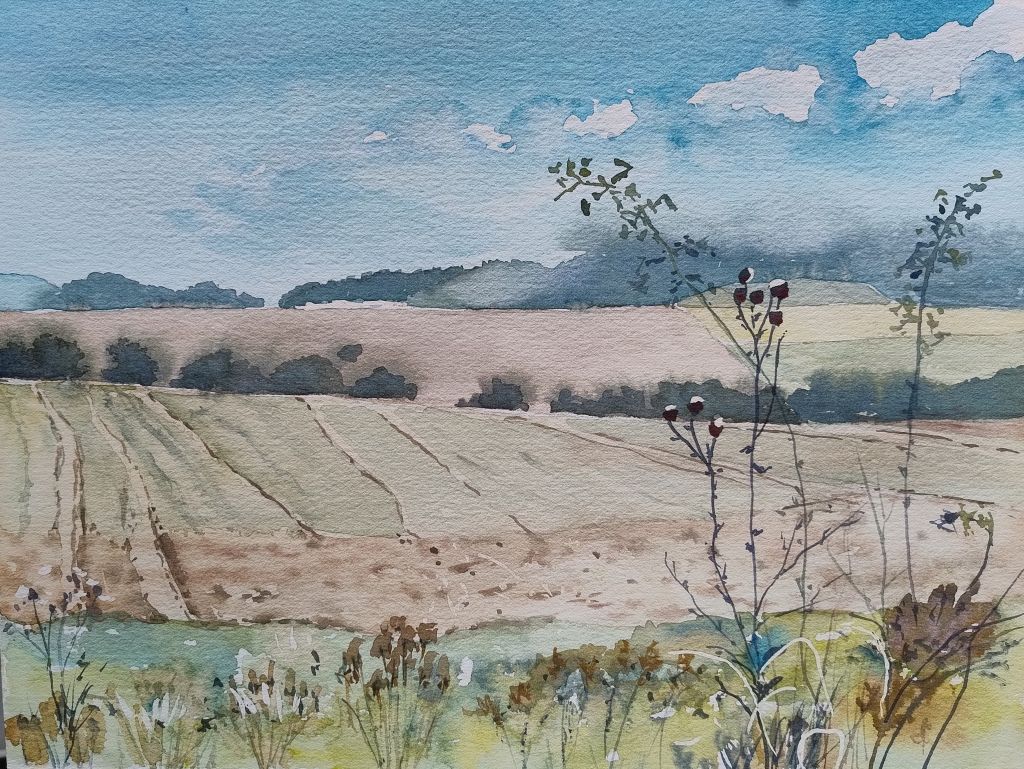 Aquarell einer mainfränkischen Felderlandschaft
